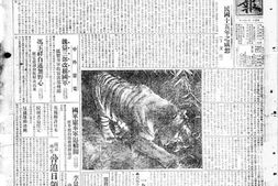 《盛京时报》1926年影印版合集 电子版.