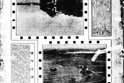 《盛京时报》1928年影印版合集 电子版.