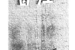 老期刊–《社会》(厦门)1929-1930年合集 电子版