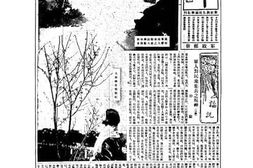 老报纸–《精军周报》(长春)1934-1936年