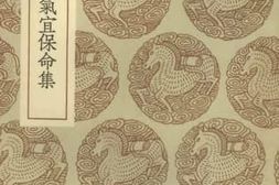 老图书–《素问病机气宜保命集》电子版合集