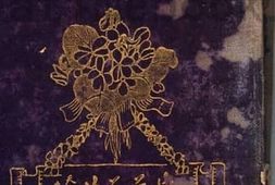 老图书–《紫兰花片》电子版合集