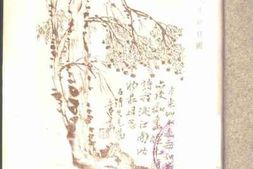 老图书–《红豆集》电子版合集