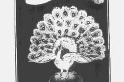 老期刊–《绣像小说》(上海)1903-1906年合集 电子版