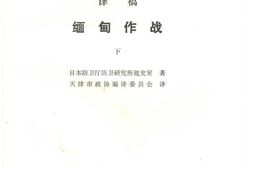 老图书–《缅甸作战_(下)》电子版合集