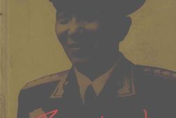 老图书–《罗瑞卿传》电子版合集