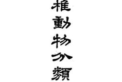 老图书–《脊椎动物分类学》电子版合集