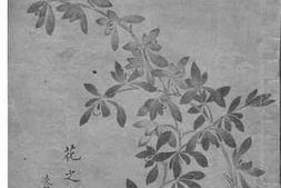 老图书–《花之寺》电子版合集
