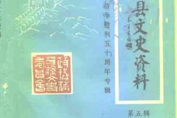 老图书–《茌平县文史资料纪念抗日战争胜利五十周年(专辑)》电子版合集