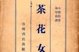老图书–《茶花女》电子版合集