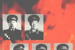 老图书–《茶陵文史_第11辑_茶陵籍将军录》电子版合集