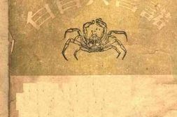 老图书–《蒋介石的诺言与自白》电子版合集