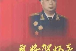 老图书–《虎将贺炳炎——开国上将贺炳炎纪念文集》电子版合集