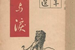 老图书–《血与泪》电子版合集