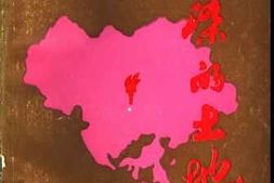 老图书–《血梁的土地》电子版合集