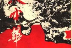 老图书–《血沃中华》电子版合集