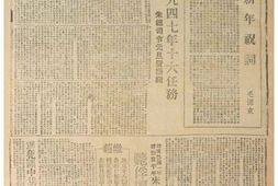《解放日报》1947年影印版合集 电子版.