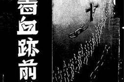 老图书–《踏着血迹前进》电子版合集