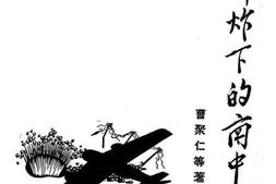 老图书–《轰炸下的南中国》电子版合集