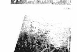老报纸–《辛报战情画刊》1937-1937年合集 电子版