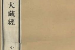 老图书–《辰一》电子版合集