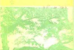 老图书–《郁南文史__第11期》电子版合集