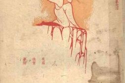 老图书–《野蔷薇》电子版合集