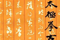 老图书–《陈氏太极拳古今》电子版合集