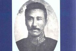 老图书–《陈竞存(_炯明)_先生年谱_(下)》电子版合集