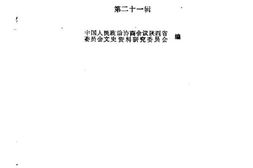 老图书–《陕西文史资料_第21辑》电子版合集