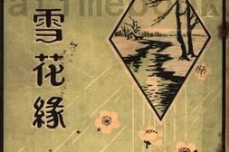 老图书–《雪花缘》电子版合集