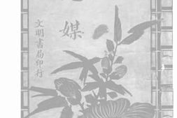 老图书–《鬼媒》电子版合集
