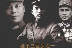 老图书–《黄绍竑回忆录》电子版合集
