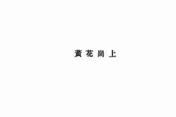 老图书–《黄花岗上》电子版合集